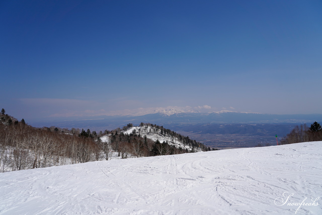 富良野スキー場　気持ちの良いポカポカ陽気に恵まれて、富良野で過ごす素敵な春の１日(^^)v